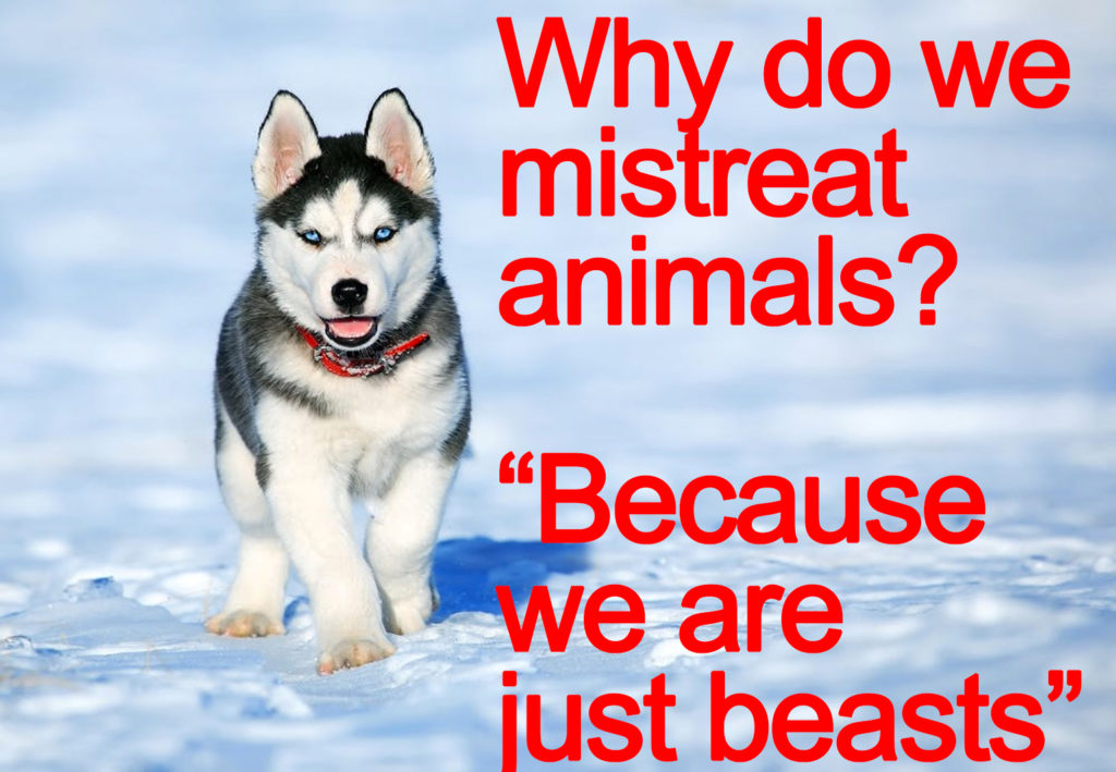 We mistreat animals because we are beasts.