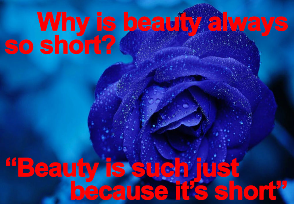 Beauty is beauty because is short.