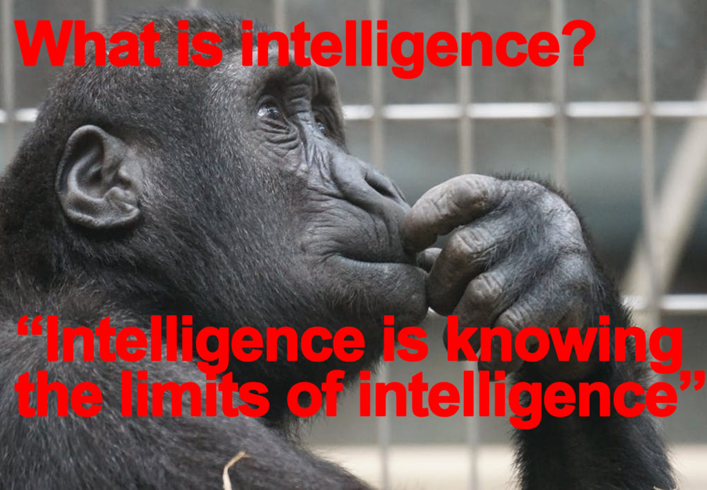 Intelligence is just one faculty.